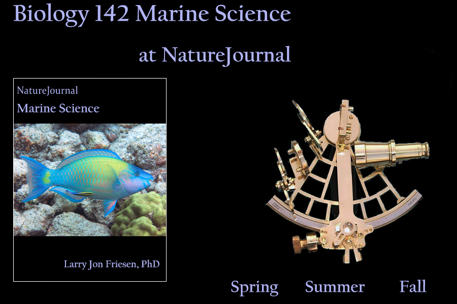  Marine Science 